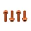 Wolf Tooth 4-piece Water Bottle Cage Bolts in Orange